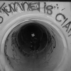 Meet your Posher, Jesse